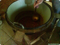 2009_jun_19_ifi_evadz_08_small.jpg