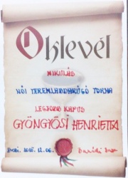 2015.12.6.GY�NGY�SI HENRIETTA
