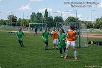 2013_junius-29_metakupa_27